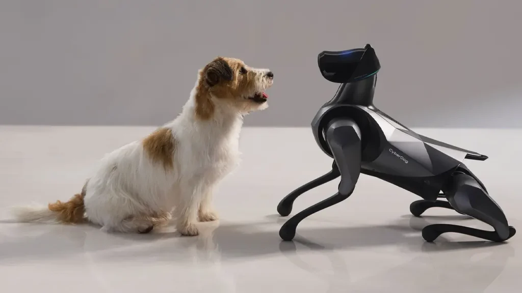 Unitree B2-W wheeled robot dog