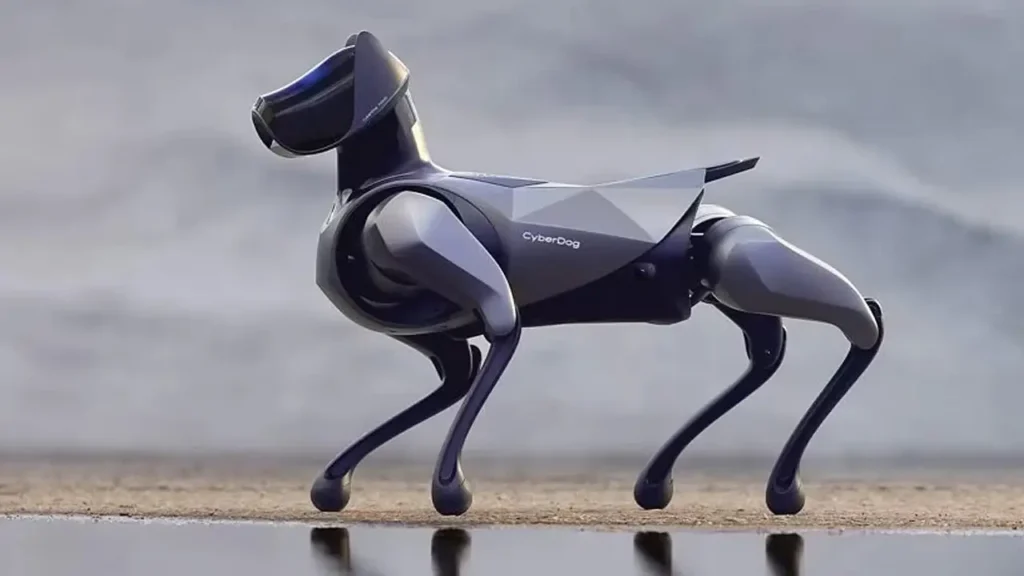 Unitree B2-W wheeled robot dog
